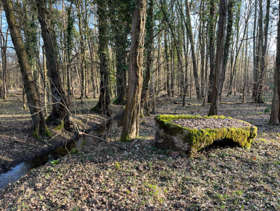 Luderbachbr&uuml;ckenrest