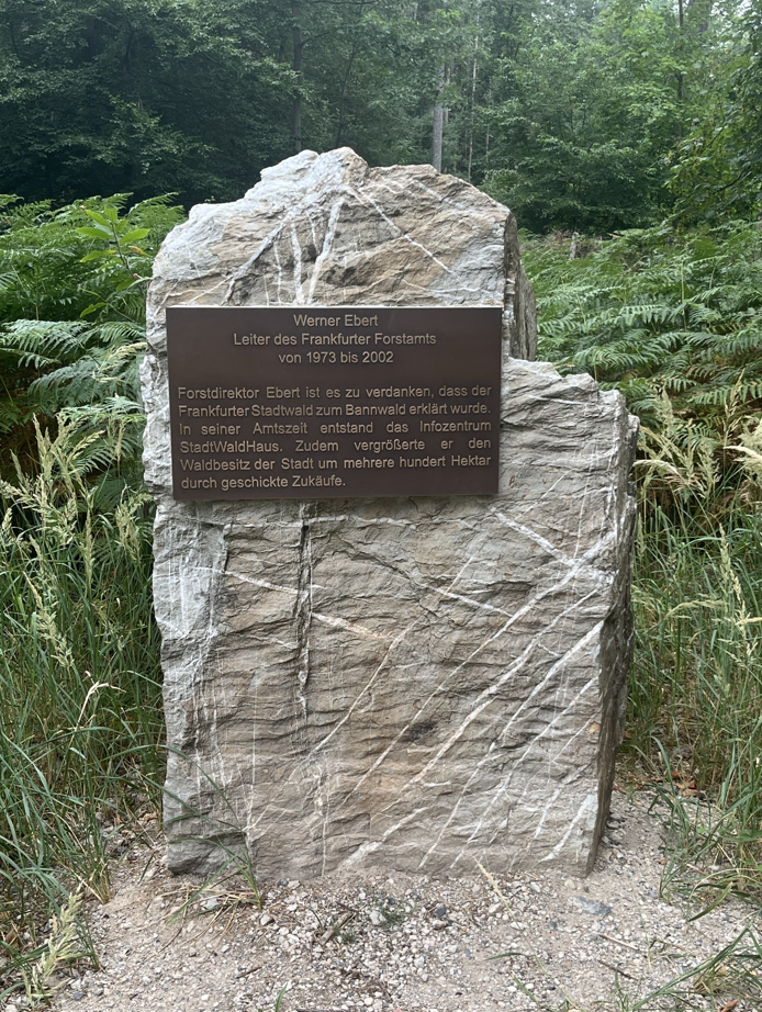 Ebert-Stein