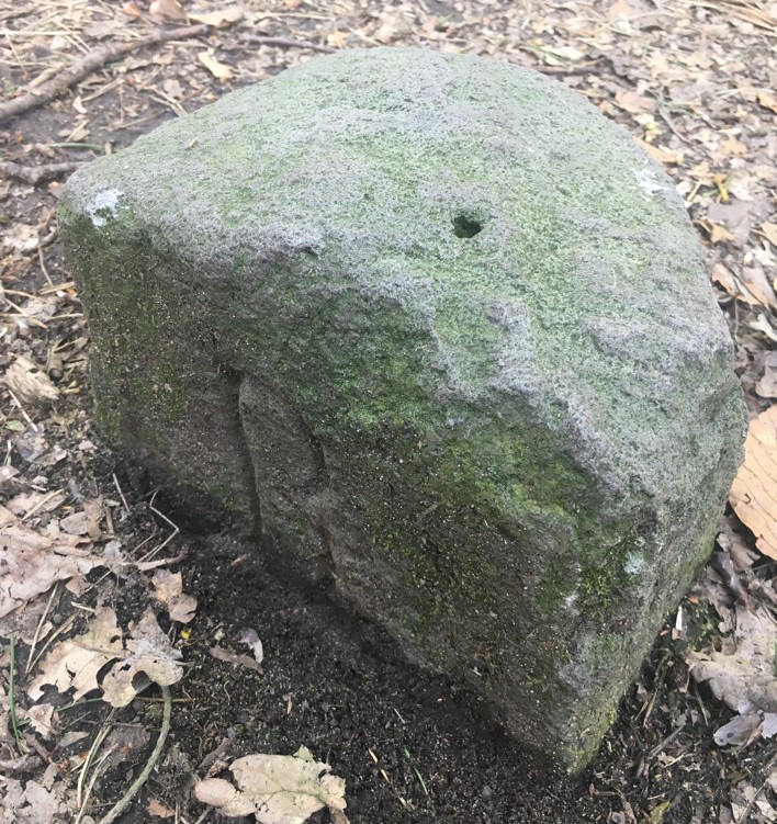 Stein 20