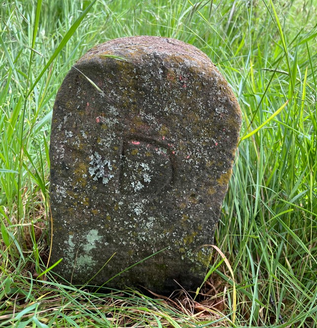 DIST06w