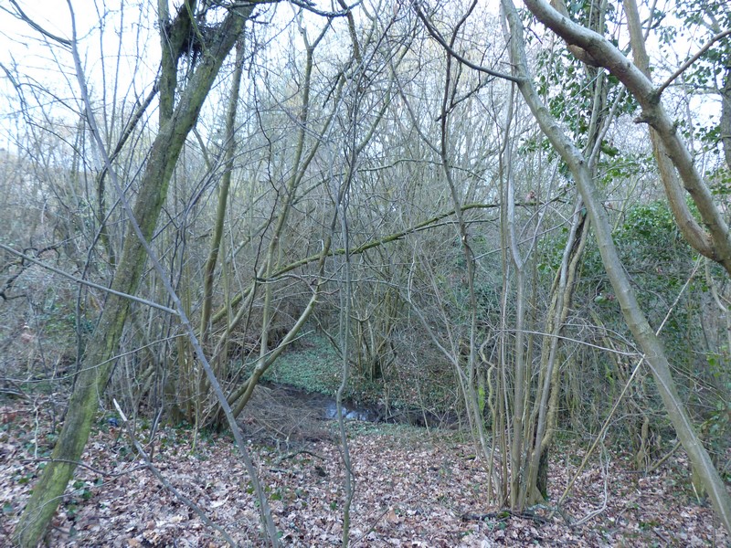 Südliche Stadtmauer von Dreieichenhain